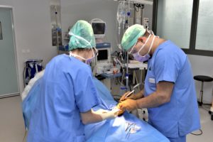 Opération de chirurgie ambulatoire au CHSF