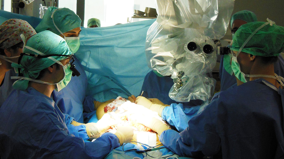 Opération de chirurgie plastique au CHSF