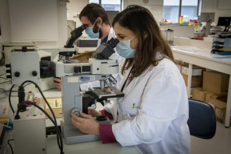 Laborantins en analyse de biologie moléculaire au CHSF